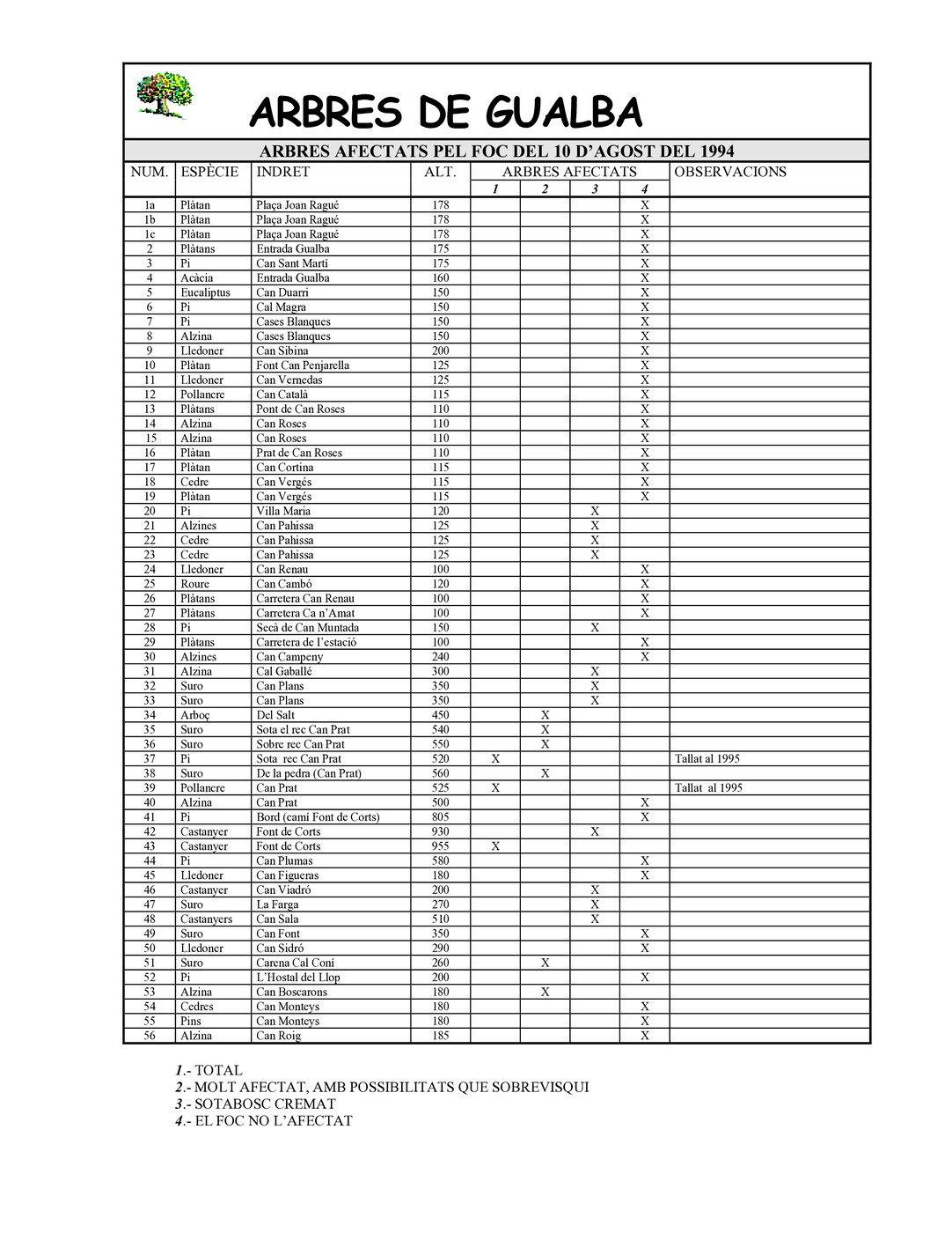 Arbres de Gualba - afectats pel foc