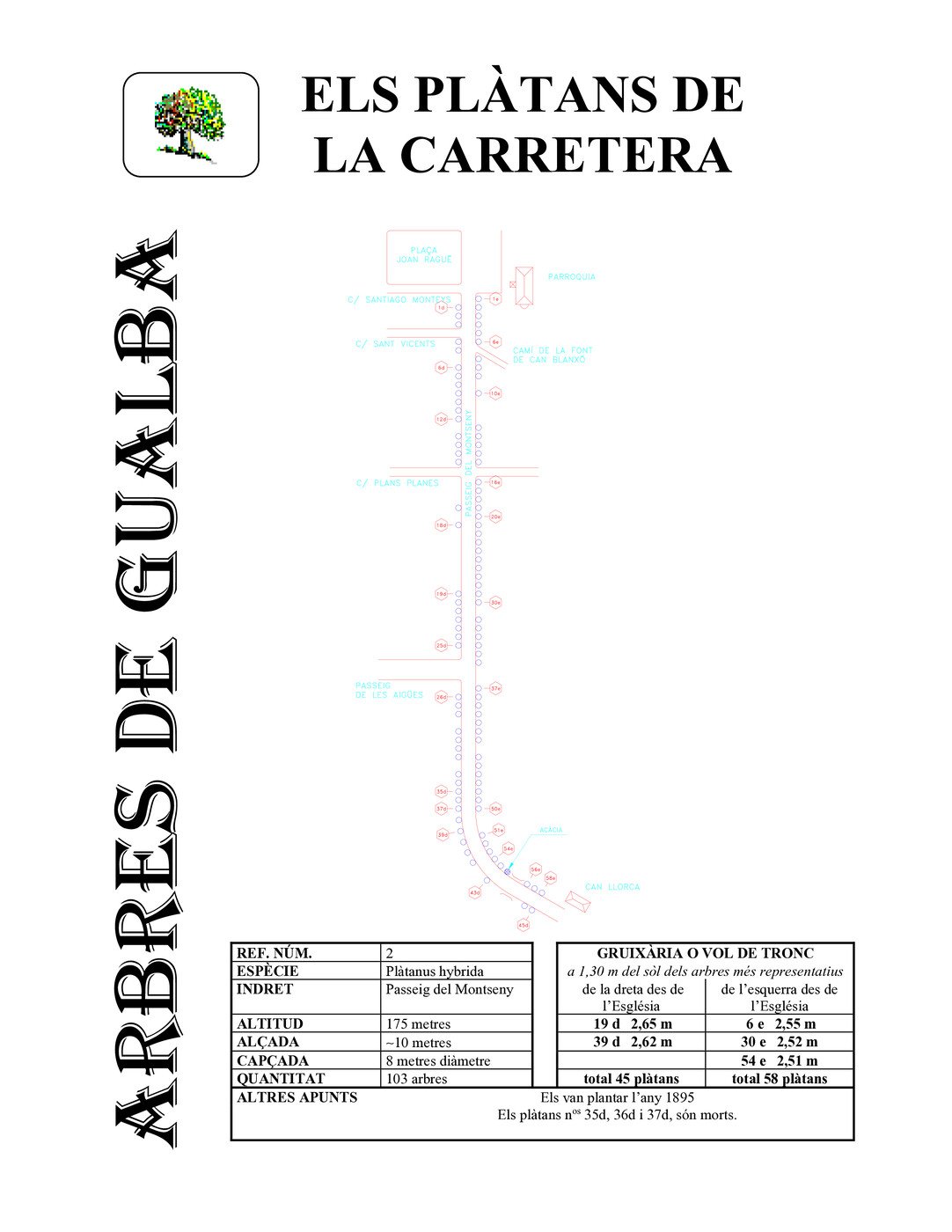 Plàtans de la carretera - B2