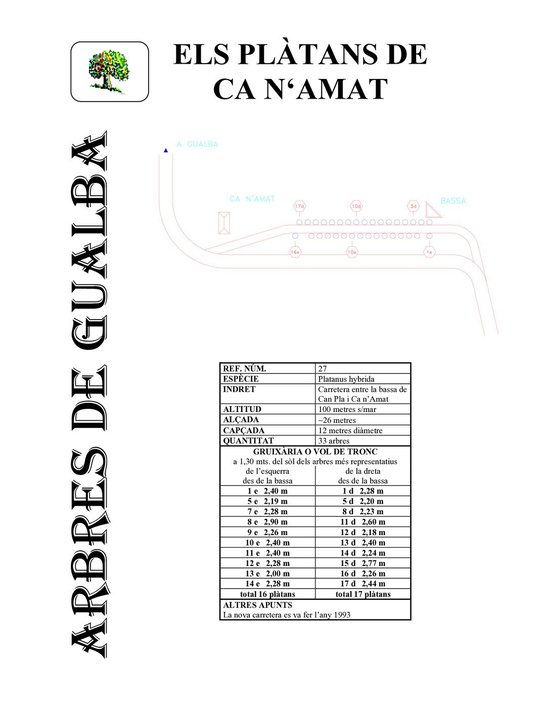 Plàtans de la carretera - B27