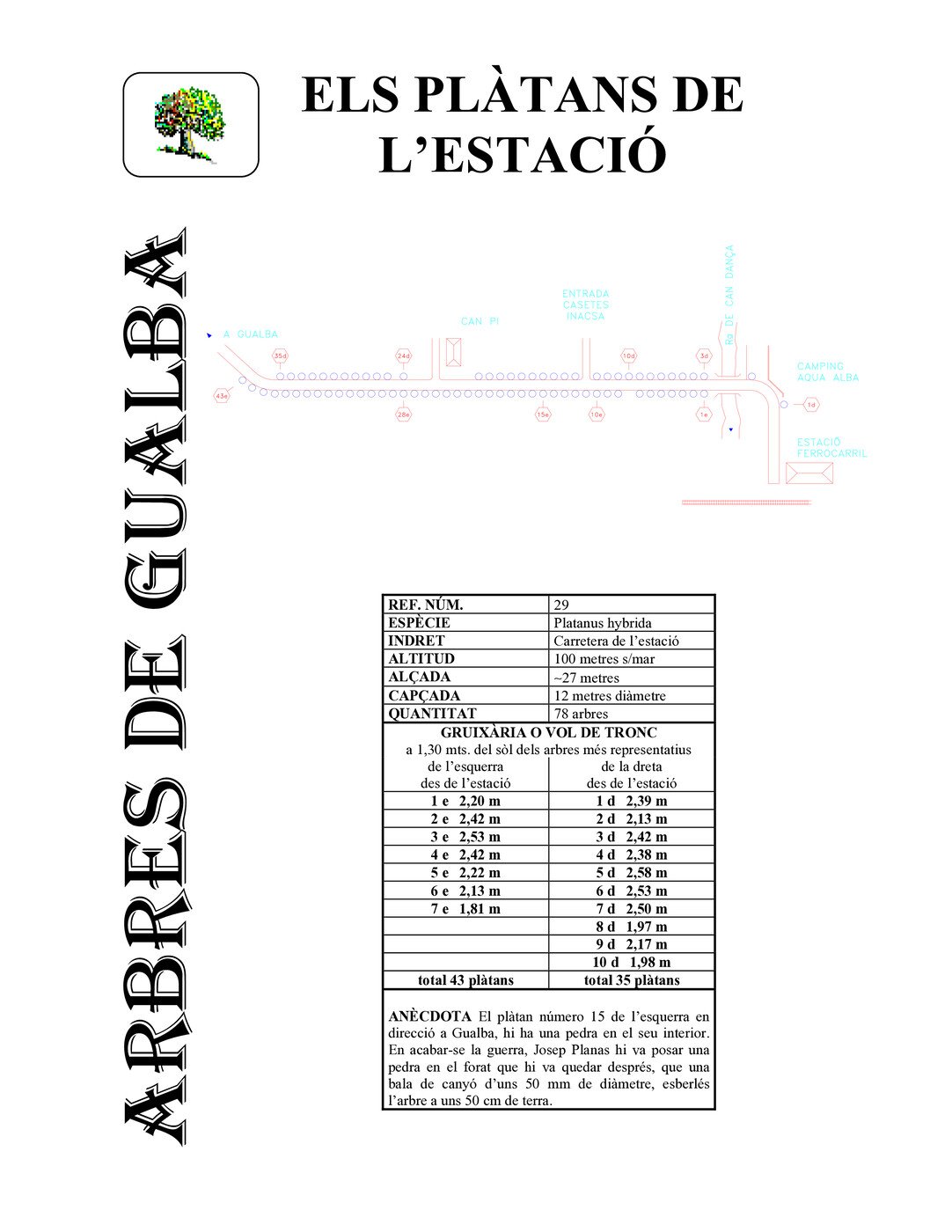 Plàtans de la carretera - B29